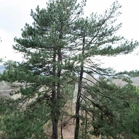 Apartamento Bujtina Qosja
